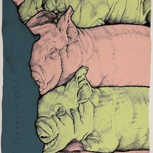 Cerditos - Roy Barba